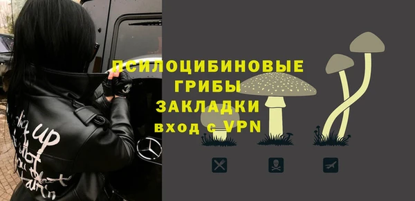трава Бородино