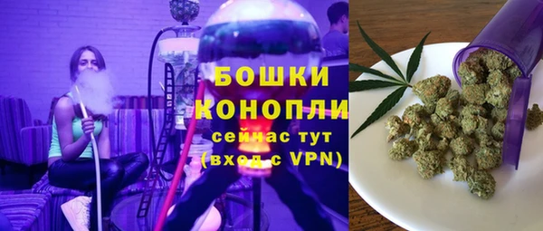 стафф Бронницы