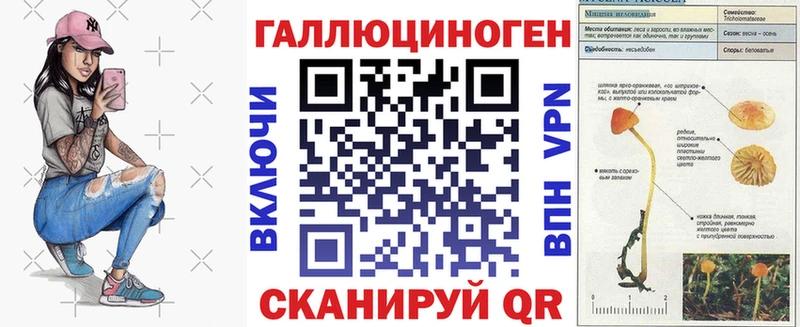 Псилоцибиновые грибы Psilocybe  Купить где  Арамиль 