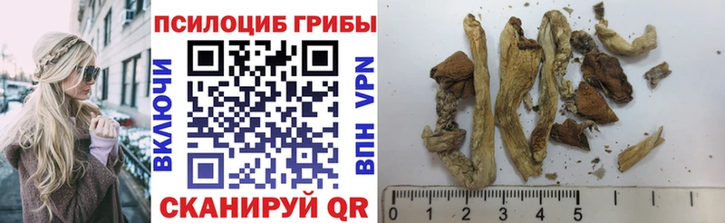 Галлюциногенные грибы мухоморы Арамиль