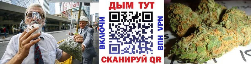 Каннабис OG Kush Купить где Арамиль